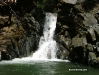 guaconejoago06 - 35